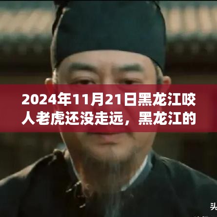 黑龍江猛虎事件啟示錄，與老虎共舞的日子與自我成長(zhǎng)之路
