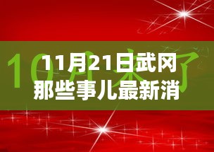 11月21日武岡那些事兒最新消息，武岡日常趣事，11月21日的溫暖瞬間