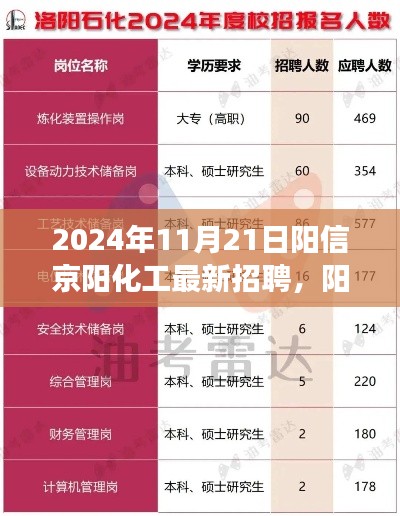 陽信京陽化工最新招聘現(xiàn)象深度解讀，探析價值與影響，2024年招聘展望