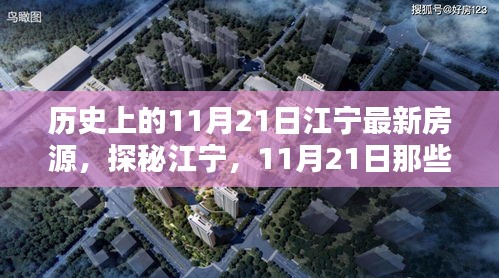 揭秘江寧獨(dú)家房源與特色小店，探尋歷史房源與小巷深處的驚喜