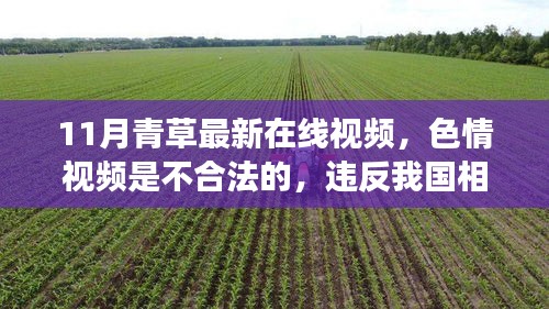 警惕色情風(fēng)險(xiǎn)，遠(yuǎn)離非法內(nèi)容，拒絕11月青草最新在線視頻