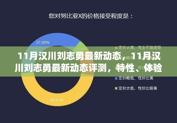 漢川劉志勇最新動(dòng)態(tài)評(píng)測(cè)，特性、體驗(yàn)、競(jìng)爭(zhēng)分析與用戶洞察深度解析