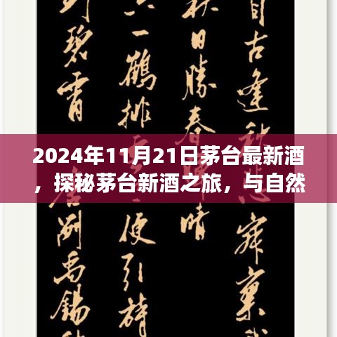 2024年11月21日茅臺最新酒，探秘茅臺新酒之旅，與自然美景共舞的日子