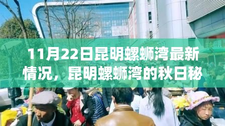 昆明螺螄灣秋日秘境探秘，11月22日最新情況與內(nèi)心平靜的旅行記
