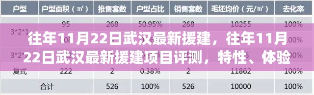 往年11月22日武漢援建項目深度解析，特性、體驗、競品對比及用戶群體分析