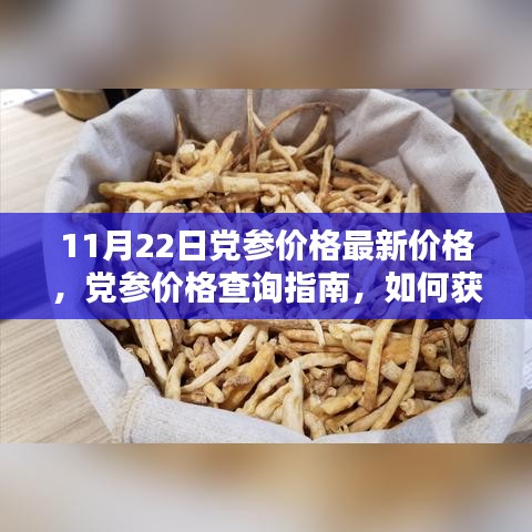 11月22日黨參價格最新價格，黨參價格查詢指南，如何獲取11月22日最新黨參價格