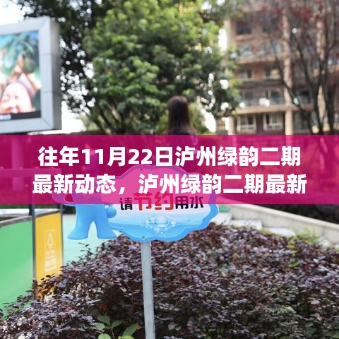 瀘州綠韻二期最新動(dòng)態(tài)揭秘，特性、體驗(yàn)、競(jìng)品對(duì)比及用戶需求洞察評(píng)測(cè)報(bào)告