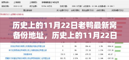歷史上的11月22日，老鴨最新窩備份地址背后的故事與深遠(yuǎn)影響