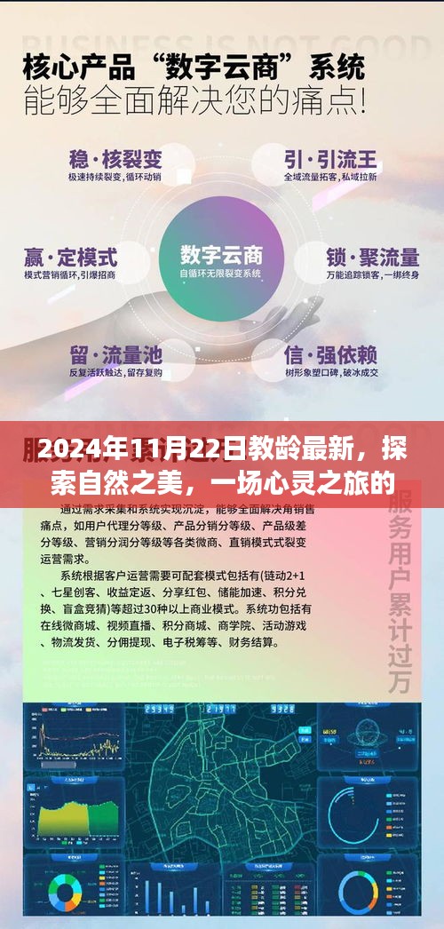 探索自然之美，開(kāi)啟心靈之旅的啟程——紀(jì)念教齡新篇章