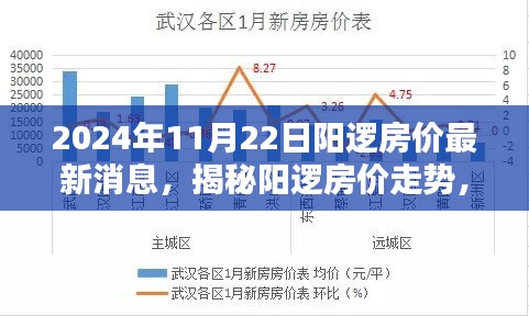 陽邏房價最新動態(tài)，深度分析走勢與揭秘最新消息（2024年11月22日）