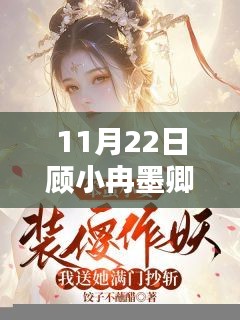 顧小冉與墨卿的奇妙相遇揭秘，最新章節(jié)揭曉于11月22日