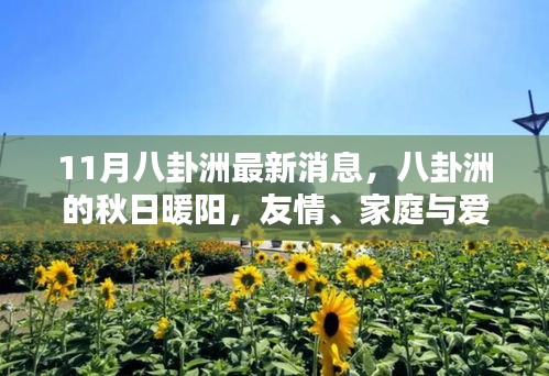 八卦洲秋日暖陽，友情、家庭與愛的溫馨日常最新消息