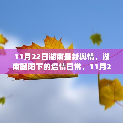 湖南溫情日常，城市輕語與友情漣漪（11月22日最新輿情）