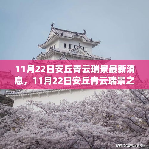 11月22日安丘青云瑞景之旅，探尋自然之美，擁抱內(nèi)心寧?kù)o