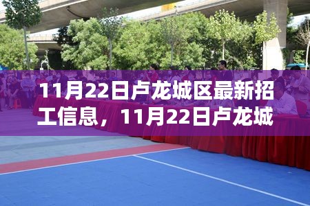 11月22日盧龍城區(qū)最新招工信息詳解與評(píng)測(cè)報(bào)告
