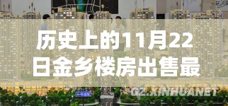 歷史上的今天，揭秘金鄉(xiāng)樓房出售最新消息，獨家報道于11月22日