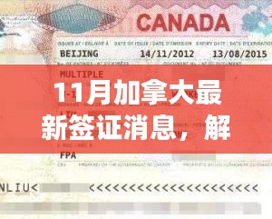 解讀最新加拿大簽證政策動向，多元觀點下的11月簽證消息分析