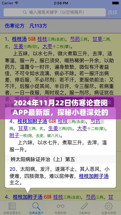 探秘小巷深處的傷寒秘境，體驗最新版?zhèn)摬殚咥PP的奇妙之旅