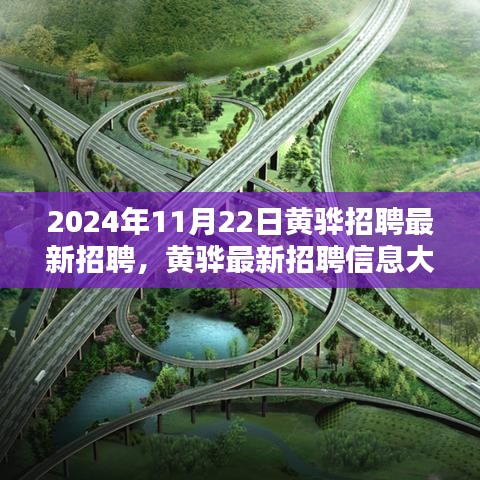 黃驊最新招聘信息揭秘，求職者的福音，2024年11月22日