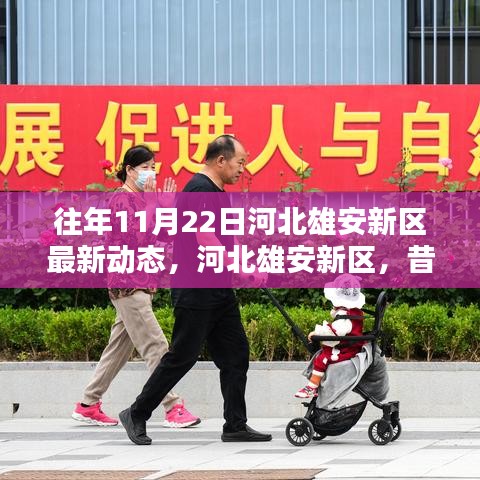 河北雄安新區(qū)歷年11月22日最新動(dòng)態(tài)，昔日藍(lán)圖成現(xiàn)實(shí)進(jìn)展探析