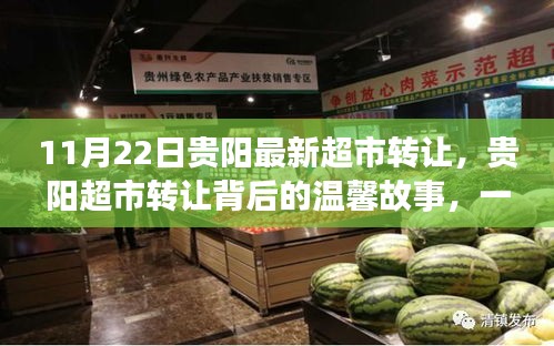 貴陽超市轉(zhuǎn)讓背后的溫馨故事，緣分與陪伴的邂逅之旅