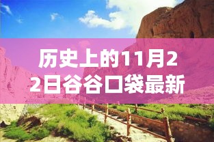 谷谷口袋最新版革新之路，歷史上的11月22日回顧
