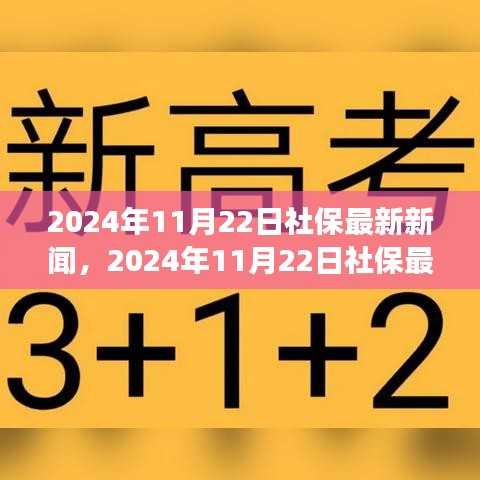 2024年11月22日社保動態(tài)更新，改革進展與未來展望