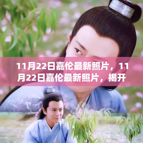 11月22日嘉倫最新照片，11月22日嘉倫最新照片，揭開魅力男神背后的故事
