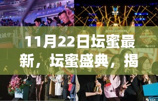 揭秘壇蜜盛典，歷史回響與時代印記的交匯點（11月22日最新）