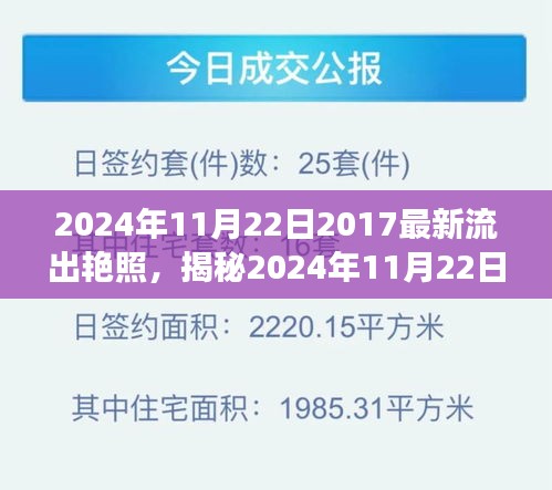 揭秘2024年11月22日艷照流出事件，探索背后的秘密與故事