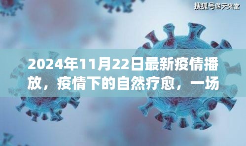 2024年11月22日最新疫情播放，疫情下的自然療愈，一場尋找內(nèi)心平靜的奇妙旅行，2024年11月22日的美麗新世界