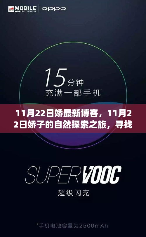 嬌子心靈之旅，探尋自然靜謐角落的博客分享