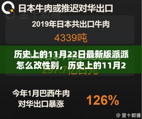 最新版派派社交軟件性別修改步驟詳解，歷史上的11月22日指南