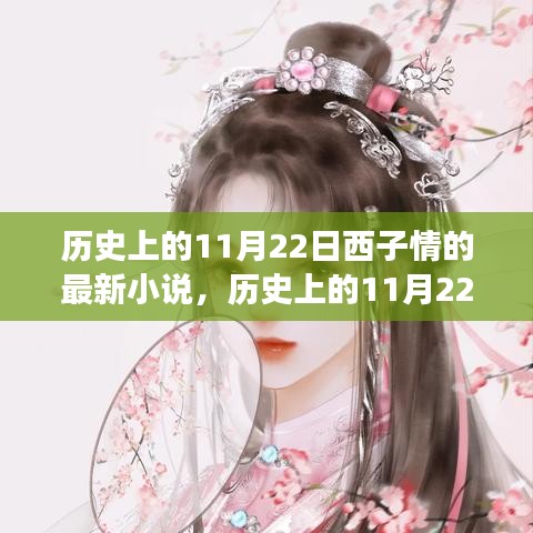 探尋歷史11月22日西子情最新小說的深意與魅力，故事背后的故事與情感之旅
