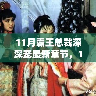 最新章節(jié)深度解析與賞析，11月霸王總裁深深寵