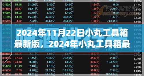 2024年小丸工具箱最新版使用指南，從零起步完成任務(wù)的全面教程
