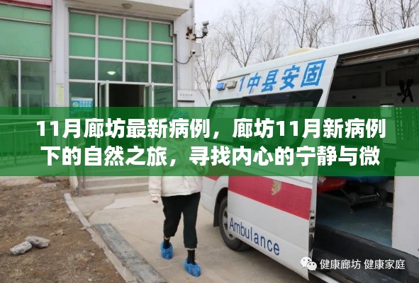 廊坊11月新病例下的自然之旅，探尋內(nèi)心寧靜與微笑之旅