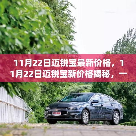 11月22日邁銳寶新價格揭秘，自然美景下的心靈之旅