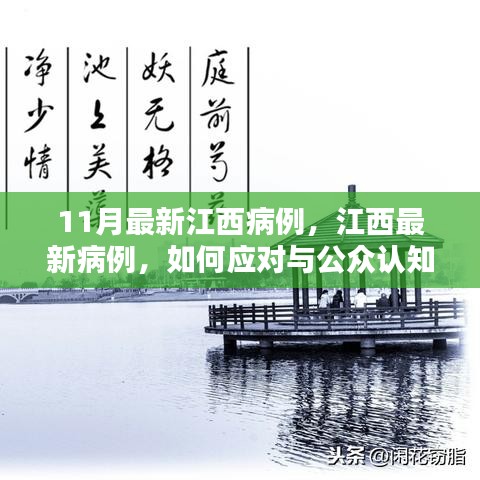 江西最新病例應(yīng)對(duì)與公眾認(rèn)知重塑，11月疫情挑戰(zhàn)及應(yīng)對(duì)策略