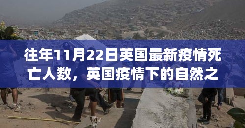 英國疫情下的自然之旅，探尋內心寧靜與重生與最新疫情死亡人數(shù)分析