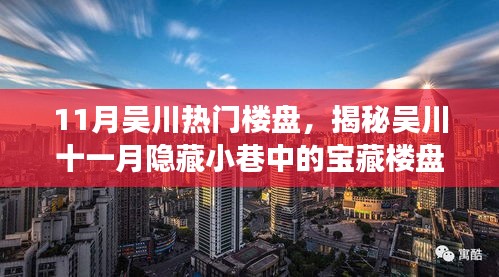 吳川十一月探秘之旅，寶藏樓盤(pán)與獨(dú)特小店的不期而遇
