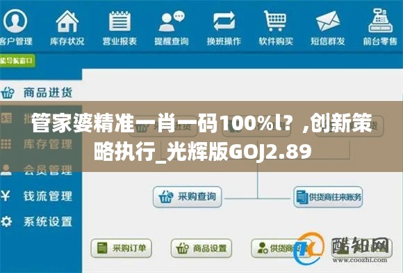 管家婆精準(zhǔn)一肖一碼100%l？,創(chuàng)新策略執(zhí)行_光輝版GOJ2.89