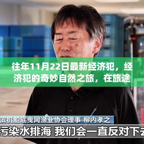 經(jīng)濟(jì)犯的自然之旅，尋找內(nèi)心的平和與寧靜之路