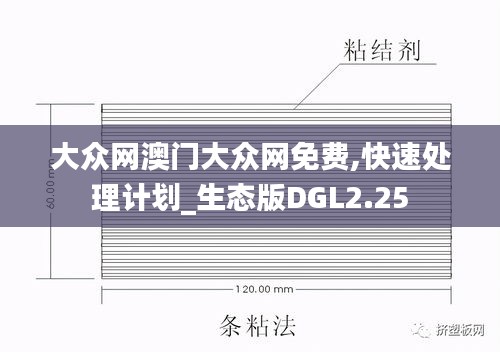 大眾網澳門大眾網免費,快速處理計劃_生態(tài)版DGL2.25