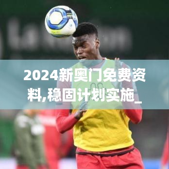 2024新奧門免費(fèi)資料,穩(wěn)固計劃實(shí)施_探索版NTI2.36