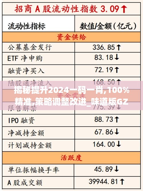 揭秘提升2024一碼一肖,100%精準,策略調(diào)整改進_味道版GZI2.32