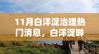 11月白洋淀治理熱門消息，白洋淀畔的治理奇遇，十一月的那抹溫情與友情