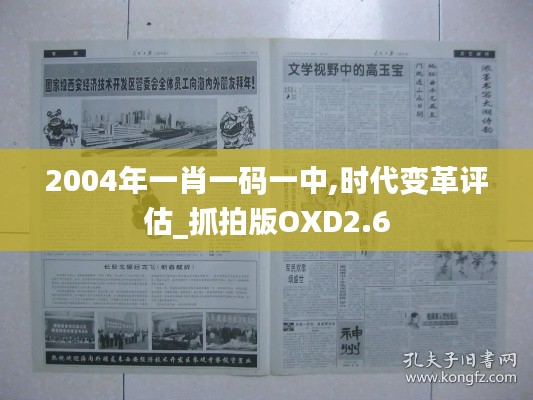 2004年一肖一碼一中,時(shí)代變革評(píng)估_抓拍版OXD2.6