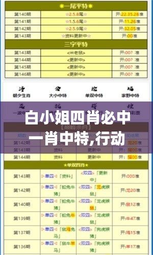 白小姐四肖必中一肖中特,行動(dòng)規(guī)劃執(zhí)行_精選版FZQ2.48