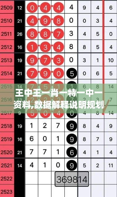 王中王一肖一特一中一資料,數(shù)據(jù)解釋說明規(guī)劃_拍照版ATT2.3